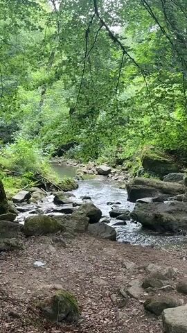 The video opens with a scenic view of a creek flowing through a lush, green forest. Sunlight filters through the dense canopy, illuminating the water and the rocky terrain surrounding it. The camera pans slightly to the left, revealing a large moss-covered boulder and more of the forest. As the video progresses, the focus shifts to a section of the path, where several pieces of trash are visible. Among the debris are plastic bags, empty food containers, and other assorted litter. The trash is scattered on the ground, some of it near the base of a tree and another pile closer to the creek. The presence of the litter contrasts sharply with the natural beauty of the surrounding environment.