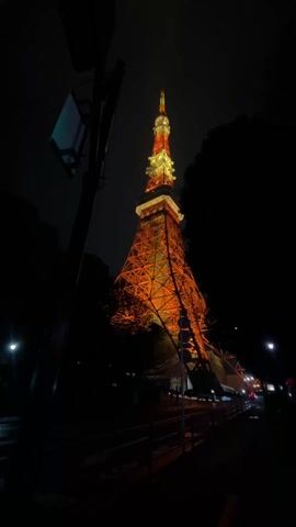 The video shows a nighttime view of the Tokyo Tower from a low angle. The tower is brightly illuminated with orange and white lights, contrasting against the dark sky and surrounding trees. A sidewalk runs along a street to the right of the tower. A utility pole with an attached sign is visible on the left. Several cars drive by on the street and their headlights can be seen. The camera perspective is from a stationary position on the sidewalk. The beginning of the video is blurry and quickly adjusts to a clear view of the scene.