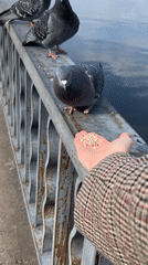 Routine afternoon activities documented across Chaikovsky, Russia recreational areas