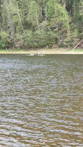 The video shows a body of water with trees lining the shore.  A small boat with at least two people in it is moving across the water. The water is rippled and the trees are green.