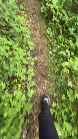 Nature walk documented along overgrown stone path in Heilbronn