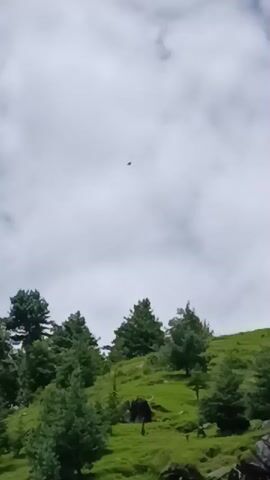The video shows a scenic view of a lush green mountainous landscape under a cloudy sky. Several evergreen trees dot the hillside, with some rocks and darker patches visible on the ground. In the upper portion of the frame, a dark-colored bird of prey with outstretched wings is seen soaring gracefully against the backdrop of white clouds. The bird's flight path appears to be circular or spiraling as it navigates through the sky. The overall impression is one of natural beauty and the majestic flight of a bird in its natural habitat.