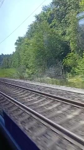 This is a video clip filmed from the perspective of a passenger on a moving train. The camera looks out the window at the passing scenery.

The primary subjects are the train tracks themselves, which occupy the foreground and are blurred due to motion. Beyond the tracks, there is a bright green, grassy field. A dense line of lush green trees forms the background, suggesting a rural or semi-rural setting. In the distance, there are hints of hills or elevated terrain, also covered in trees. Overhead, power lines and support structures for the electric train are visible, indicating it is an electrified railway line.

The activity taking place is the train journey itself, with the landscape continuously moving past the window. The time of day appears to be daytime, likely late morning or afternoon, given the bright sunlight and clear blue sky. The weather seems pleasant and sunny.

Notable details include the clear blue sky, the vibrant green of the grass and trees, and the repetitive pattern of the train tracks. The motion blur on the tracks and the slight tilt of the camera convey the sense of speed and movement. There is no visible text in the video clip. The overall mood is peaceful and serene, typical of a train ride through scenic countryside. The location context provided, Roggwil (BE), Switzerland, aligns with the visual cues of a European landscape with well-maintained infrastructure.