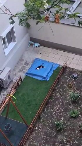 Sofia, Bulgaria