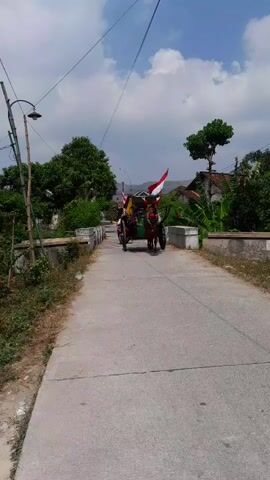 A horse-drawn carriage with two people and a motorcycle carrying one person moves down a paved road. The carriage has red and white flags attached to it. The road is lined with trees and vegetation, and there are buildings in the background. The sky is blue with white clouds.