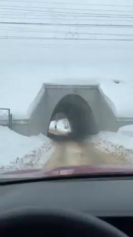 A car drives through a concrete tunnel under a bridge. The tunnel entrance is marked with the year "1948." Outside the tunnel is a snow-covered road. A pedestrian in a blue coat walks along the side of the road, away from the tunnel. The weather is overcast and gray.