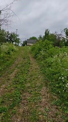 A drone shot looks up a dirt path leading towards a house. The path is covered in grass and has tire tracks. On either side of the path are bushes and flowers. Trees and a house are visible in the distance. The sky is cloudy.