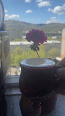 Early morning life documented across Krasnoyarsk neighborhoods