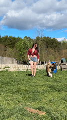 Sunny afternoon activities with dog walking in Rusalevka, Russia