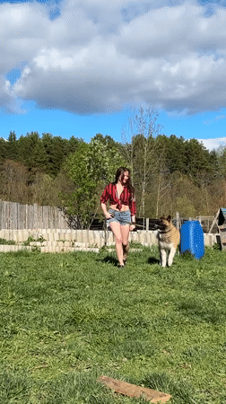 Sunny afternoon activities with dog walking in Rusalevka, Russia