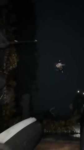 Here is a description of the video:

The video shows a fish in the dark water. The fish is pale with dark spots. Someone is fishing off a dock or pier. A man in a black hooded sweatshirt and a baseball cap with a Mexican flag patch is holding a fishing rod. There is a city skyline visible in the background.