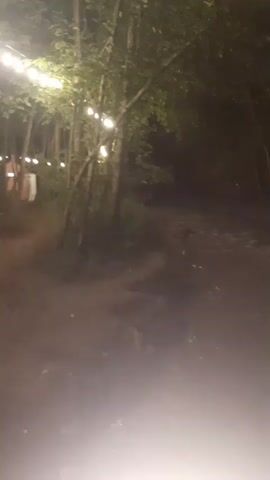 The video depicts a dark, wooded area at night. A shallow, rocky stream flows through the scene. The camera appears to be moving slowly forward, possibly on a path or in a vehicle. String lights are visible hanging from trees on the left side of the frame, casting a soft glow. The overall atmosphere is serene and slightly mysterious due to the low light conditions and the natural setting. The camera is positioned low to the ground, and there is a bright light emanating from the bottom of the frame, suggesting it is from a vehicle's headlights or a flashlight.