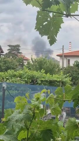 This media file captures a scene in Voluyak, Bulgaria, with a prominent plume of dark smoke rising in the background. The smoke appears to originate from a fire or industrial activity, and it drifts across a cloudy sky, suggesting a potentially overcast or stormy weather condition.

In the foreground, lush green foliage, likely from grapevines due to the leaf shape and dew drops, dominates the lower portion of the frame. This vegetation creates a natural frame, partially obscuring the view of the scene behind it. The presence of dew drops on the leaves indicates recent rain or high humidity.

Behind the foliage, several residential buildings are visible, characterized by their tiled roofs and white walls. A tall, striped industrial chimney, a common landmark in many areas, is also present on the right side of the frame, adding to the urban or semi-urban setting. Power lines crisscross the sky, a typical feature of developed areas.

The overall atmosphere conveyed is one of concern or disruption, with the smoke being the most striking element. The time of day is indeterminate due to the cloud cover, but the lighting suggests it is daytime. The focus is on the environmental impact of the event, with the natural elements in the foreground contrasting with the industrial or man-made emergency in the distance. There is no visible text in the media file.