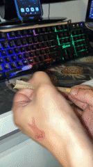 Person with red tattoo rolls cigarettes indoors in Spain