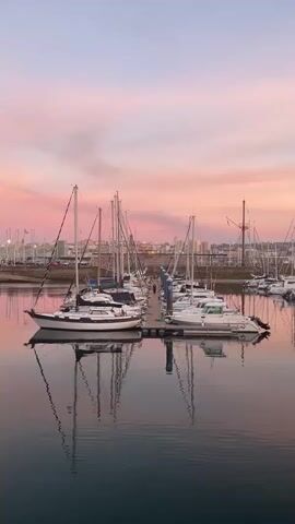 A marina at sunset. The sky is filled with soft pink and orange clouds. Several sailboats and motorboats are docked on a wooden pier. The boats are reflected in the calm water. A city skyline is visible in the background.