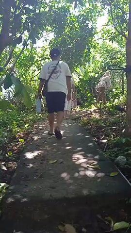 A group of four people is walking on a paved path through a lush, green area with many trees and plants. The person in the front is wearing a white t-shirt, black shorts, sandals, and a black cap, and carrying a bag over their shoulder and a white container. The second person is wearing a long white dress and a wide-brimmed straw hat. The other two people are walking behind them and are further away from the camera. The path is partially shaded, with dappled sunlight filtering through the trees. The ground beside the path is covered with fallen leaves and vegetation.