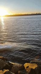 Sunset gathering documented by waterside in Noviy, Russia