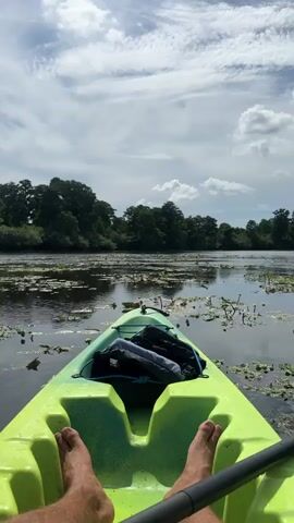 A person is in a lime green kayak on a body of water. The person's bare feet are visible in the foreground. A black bag is secured in the front of the kayak. The person then uses an orange and black NRS paddle to move through the water, which is covered in lily pads. A line of trees is visible in the background under a cloudy sky. The camera angle is from the perspective of the person in the kayak.