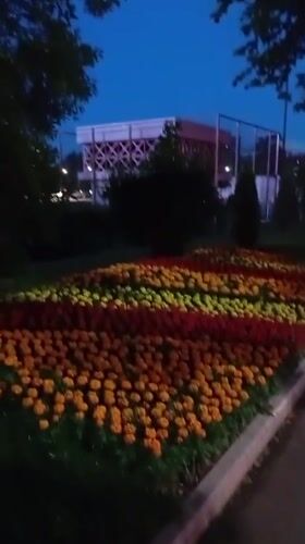 Evening street scenes documented around Tashkent university district