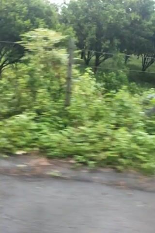 A person is recording a video on a road bordered by trees and vegetation. The camera is moving. The video captures lush green foliage, trees, and a dirt road with some debris on it. The sky is overcast. The timestamp indicates the video is being recorded on September 10th, 2023.
