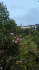 Morning park scenes documented in Da Lat, Vietnam