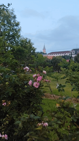 Morning park scenes documented in Da Lat, Vietnam