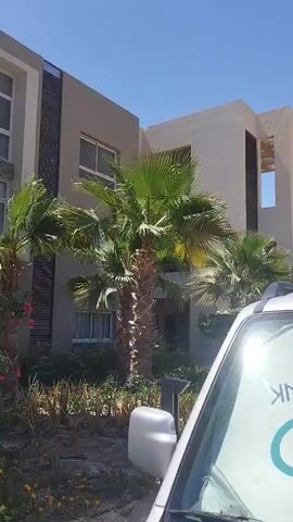 The video depicts a modern building under a clear blue sky. In front of the building, there are three palm trees and several smaller plants. The camera angle is from inside a vehicle, where a portion of the windshield and a side mirror are visible.