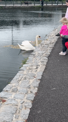 Family documents canal walk through Maynooth Ireland