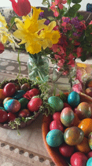 Easter egg dyeing activity observed in Sinagovtsi, Bulgaria