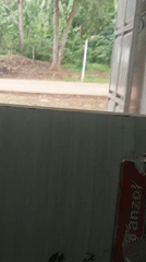 Street scenes: family walking, motorcycle wheelie observed from indoors