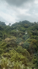 Cable cars operate through green mountainside terrain in Taipei