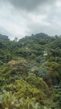 Cable cars operate through green mountainside terrain in Taipei