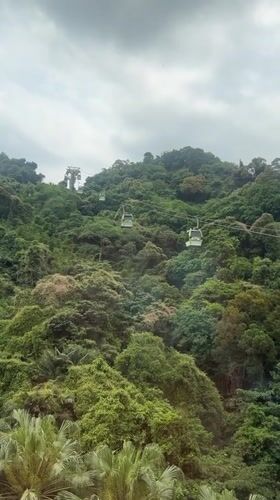Cable cars operate through green mountainside terrain in Taipei