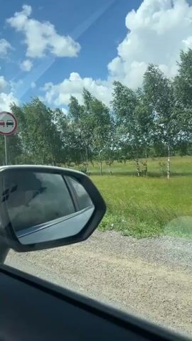 The video is shot from inside a vehicle, looking out the window and side mirror. The side mirror reflects clouds and trees. Outside, a dirt road is visible, bordered by a grassy field and a line of birch trees. The sky is blue with fluffy white clouds, and the trees appear to be swaying in the wind. The perspective suggests the vehicle is in motion.