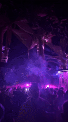Packed nighttime party with colored lights, smoke, and palm trees