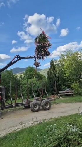 Traditional tree raising ceremony held in Austrian village