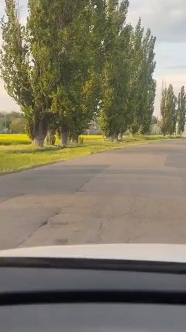 The video depicts a car driving down a straight, asphalt road in a rural area. The road has some visible patches and repairs. Rows of tall, green trees line the left side of the road, and a field of yellow flowers is visible behind the trees. On the right side, there is also a field, although less densely covered with yellow flowers. An electrical transmission tower is visible in the distance on the right side of the road. The sky above is partly cloudy with a mix of blue and gray. The video is shot from inside the car, providing a view of the road through the windshield. The dashboard of the car is visible at the bottom of the frame. The overall impression is of a quiet, countryside drive on a partly cloudy day.