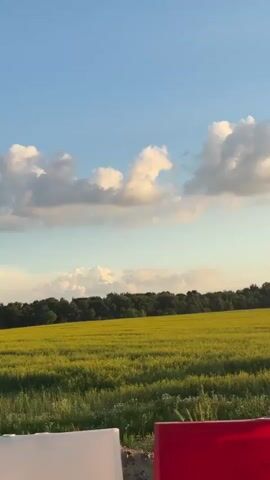 The media file presents a serene natural landscape under a bright, partly cloudy sky. The scene is dominated by a vast, yellow field, likely a crop of canola or rapeseed, stretching horizontally across the frame. The field is lush and vibrantly colored, suggesting it's a warm time of year. In the distance, a dense line of dark green trees forms a natural boundary, hinting at a forest or a wooded area. The sky above is a clear, light blue, punctuated by several puffy, white clouds that are catching the warm light, possibly from a setting or rising sun. The lighting suggests it is either early morning or late afternoon, casting a gentle glow over the entire scene. The foreground shows a strip of green grass and some wild flowers, with a hint of a dirt path or road. The overall impression is one of peace and natural beauty, with the expansive field and open sky evoking a sense of tranquility. There are no people or man-made objects explicitly visible, emphasizing the untouched nature of the landscape. The location context indicates the setting is the Kadinski Selsoviet in Belarus.