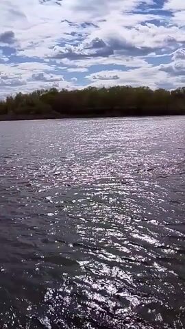 The video shows a scenic view of a body of water. The water surface shimmers with reflected sunlight. A line of trees borders the far side of the water. Above, a blue sky is partially obscured by fluffy white clouds. A few bare tree branches intrude into the view from the left side of the frame.