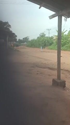 The video shows a dirt road in a rural area, possibly a village or small town. The view is from under the partially shaded porch of a building. A person is walking down the road carrying a large bundle of green vegetation on their head. Other people are seen walking in the distance along the same road. Utility poles with power lines are visible along the road. Lush green vegetation grows along the sides of the road. The sky is overcast.
