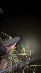 Angler displays large carp catch at Ukrainian waterside
