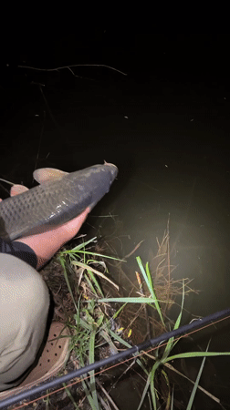 Angler displays large carp catch at Ukrainian waterside