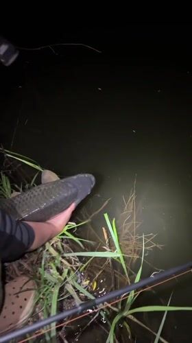 Angler displays large carp catch at Ukrainian waterside