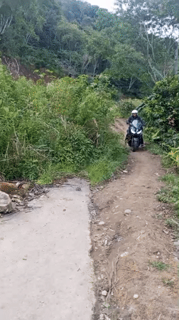 Motorcyclist transitions from dirt path to paved road in Indonesia