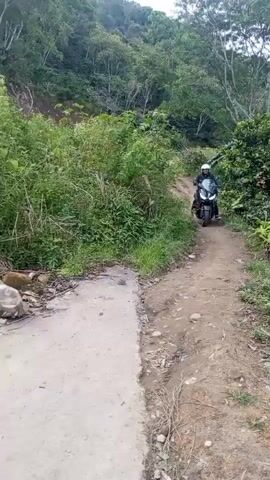 The video shows a person riding a black scooter, going from a rough, dirt path onto a paved road. The person is wearing a black jacket, blue jeans, and a white helmet with green accents. The environment is lush and green, with trees and vegetation lining the path and the road. There is also a smaller motorcycle driving away from the scooter, heading the same direction, from right to left.  The scooter is moving from right to left in the frame.  The camera appears to be handheld, capturing the scene from a slightly elevated position.