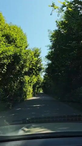 The video shows a perspective from inside a vehicle driving on a paved road surrounded by lush green trees. The trees form a natural tunnel over the road, creating a shaded canopy. The sky is visible through the gaps in the leaves, appearing clear and blue. Sunlight filters through the trees, casting dappled shadows on the road. The vehicle appears to be moving forward at a steady pace.