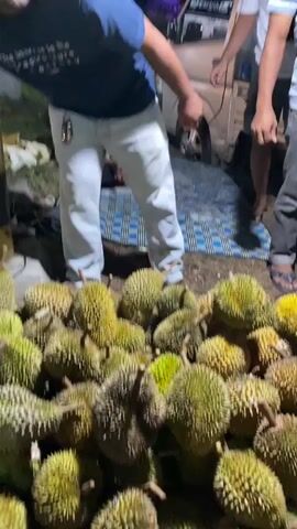 In Lambheu, Indonesia, at night, a group of men are gathered around a large pile of durians. A man in a blue t-shirt and light-colored pants holds a large knife and appears to be preparing to cut into one of the fruits. Another man in a striped t-shirt and jeans stands nearby, looking at the durians. In the background, a small truck is parked, and more people are visible near what appears to be a market stall. The scene suggests a fruit market setting, likely at the end of the day or during an evening sale. The presence of the knife and the focus on the durians indicate an activity related to selling or preparing the fruit for consumption. The lighting suggests it is nighttime, and the overall atmosphere seems bustling. Visible text includes "F5 PARFUM" on a sign in the background, suggesting a commercial area.