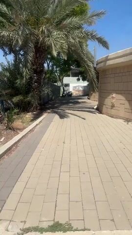 The video shows a paved walkway next to a building with a tan stone facade. A palm tree is on the left side of the walkway, casting a shadow. Further down the walkway, a building with white walls and a few trees are visible, along with what appears to be a scooter or motorcycle parked in front of it. The sky is blue and clear, indicating a sunny day. The walkway is made of light-colored rectangular pavers laid in a pattern. The building on the right has a curved wall with a light-colored coping.