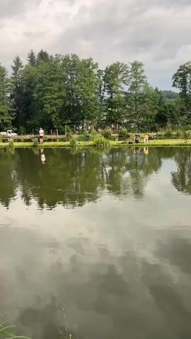 The video shows a man fishing at a pond on a cloudy day. The pond is surrounded by trees and grass, with small wooden piers extending into the water. Other people are fishing from the piers. Buildings can be seen behind the trees on the far side of the pond. The man is wearing a black shirt and blue shorts. He is holding a fishing rod and reeling in the line.