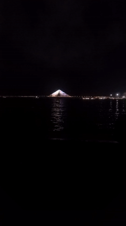Mumbai's Bandra-Worli Sea Link captured in nighttime illumination display
